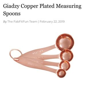 Giadzy Copper Measuring Spoons from FabFitFun!